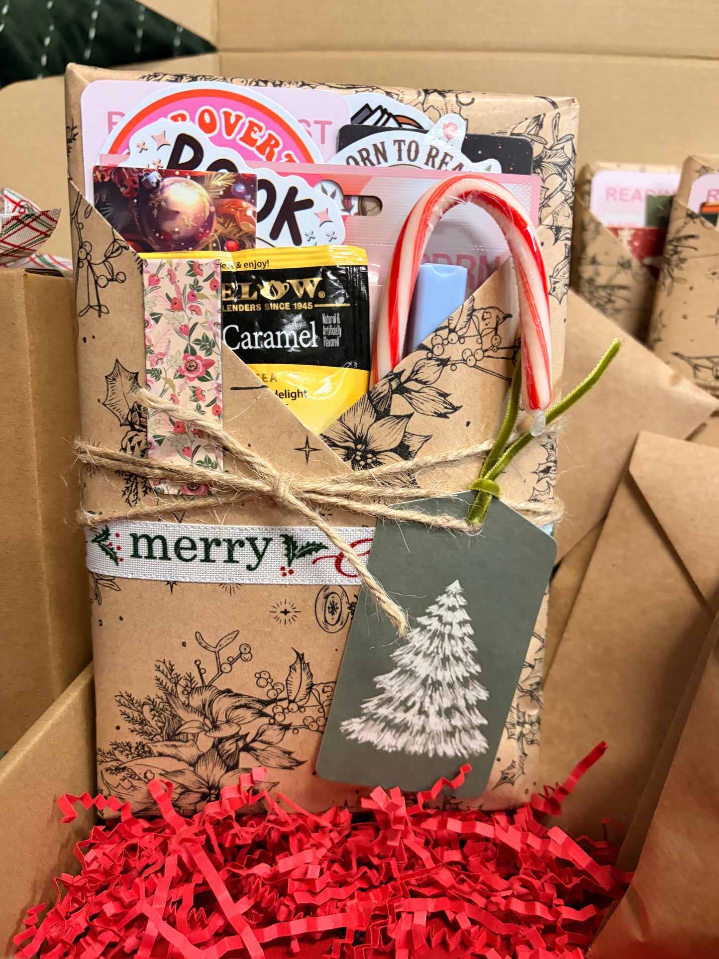 12 Days of Bookmas Advent Box